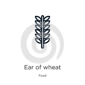 Ear of wheat icon. Thin linear ear of wheat outline icon isolated on white background from food collection. Line vector ear of