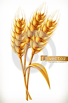 Ear of wheat. Vector icon