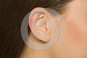 Ear of young woman without ear ring