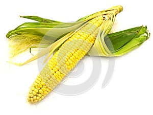Earcorn