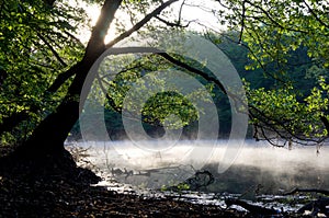 Earlier morning on the river