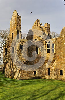 The Earls palace, Kirkwall, Orkney photo