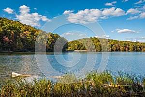 Early autumn color at Greenbrier Lake, at Greenbrier State Park in Maryland