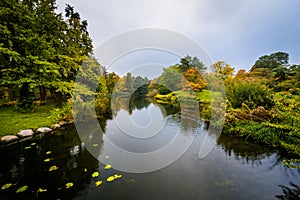 Early autumn color and a lake at Botanisk Have, in Copenhagen, D