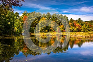 Early autumn color at North Pond, near Belfast, Maine.