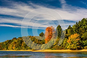 Early autumn color on the shore of Lake Marburg, in Codorus Stat