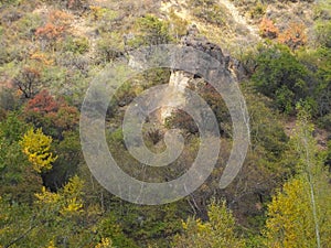 Early autumn in the forest on the mountain slopes of the Zailiyskiy Alatau. Kazakhstan