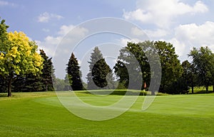 Early Autumn on the Golf Green