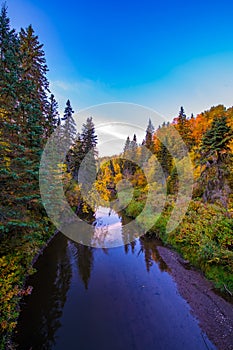 Early Autumn morning colours  Whitemud park  Edmonton river valley