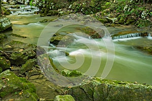 Early Autumn on a Secluded Wild Mountain Stream