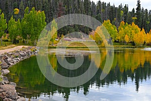 Early autumn trees water reflection.