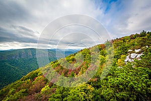 Early autumn view of the Blue Ridge Mountains from Hawksbill Mountain, on the rim of Linville Gorge, in Pisgah National Forest, N