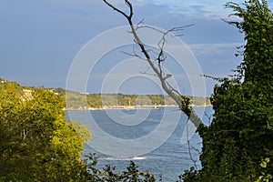 Early autumn view from the Sea Garden in Varna city