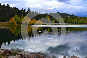 Early autumn. Yellow trees and sky water reflection