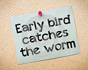 Early bird catches the worm photo