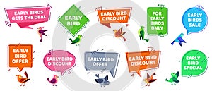 Early bird label. Sale offer badges, early birds gets deal sign and special discount banner flat vector illustration set