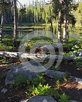 Early clear autumn morning. The picturesque  lake