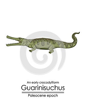 An early crocodyliform Guarinisuchus