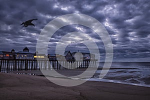 Early dawn morning on the ocean. An old wooden pier with houses and a seagull