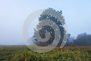 Early foggy autumn in countryside