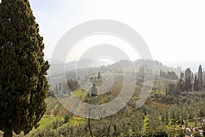 Early foggy morning. Beautiful spring landscape in Tuscany, Italy, Europe