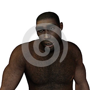 Early humans erectus