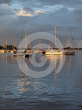 Early light on the anchorage at Dinner Key Marina in Coconut Grove, Miami, Florida.