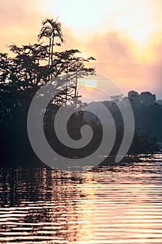 Early morning in Amazonian rainforest. Lake Cuyabeno