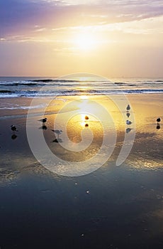 Early morning at Atlantic ocean beach