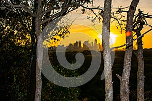 Early Morning Austin Skyline Nature Trees Greenbelt