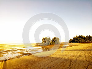 Early morning at the beachfront during lowtide