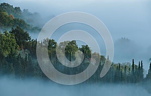 Early morning beautiful Chianti region, Tuscany hills misty landscape view. Spruce and cypress trees  sinking in foggy clouds on