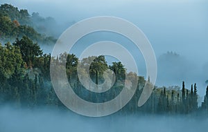 Early morning beautiful Chianti region, Tuscany hills misty landscape view. Spruce and cypress trees sinking in foggy clouds on