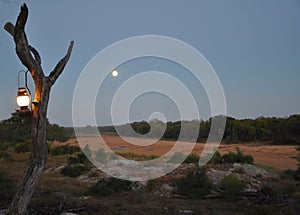 Early morning in a camp on the Bubye River in Zimbabwe