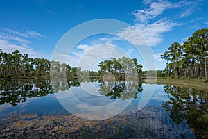 Early morning cloudscape over Long Pine Key in Everglades National Park.