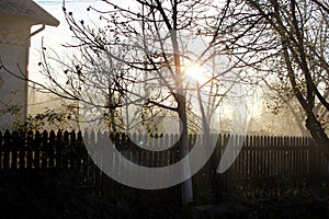 early morning in the countryside garden with old wooden fence and sun rays in summer vintage retro look
