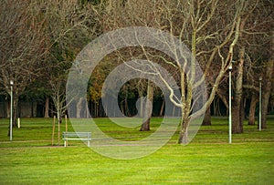 Early morning in a deserted public park