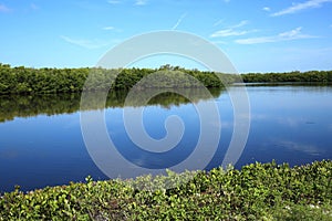 Early morning at Ding Darling on Sanibel Island, Florida, USA. photo