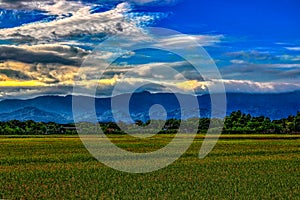 In the early morning, the distant rolling mountains, the golden cloudscape and the nearby rice fields form a picturesque scenery