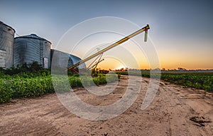 Early morning on a farm.