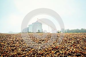 Early morning of a farm with a harvested corn fields and silos.