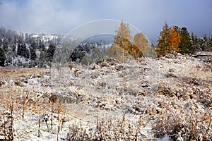 Early morning and first autumn snow in mountains