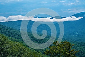 Early Morning Fog in the Blue Ridge Mountains