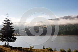 Early morning fog over the forest trees by the mountain lake