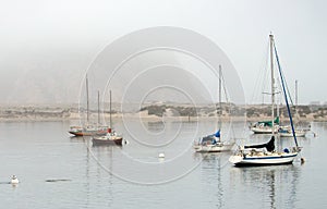 Early morning fog over Morro Bay harbor on the Central Coast of California United States