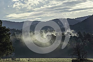 Early morning fog rises from a field in Cades Cove.