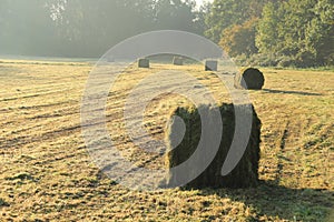 Misty day with sun rays and bales of hay in the park in the autumn.