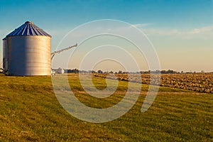 Early morning grain silo at harvest time