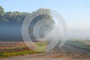 Early Morning Ground Fog, Nature