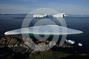 Early Morning Icebergs in Goose Cove